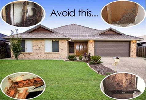 House – Pest in North Mackay, QLD House - Pest in North Mackay, QLD